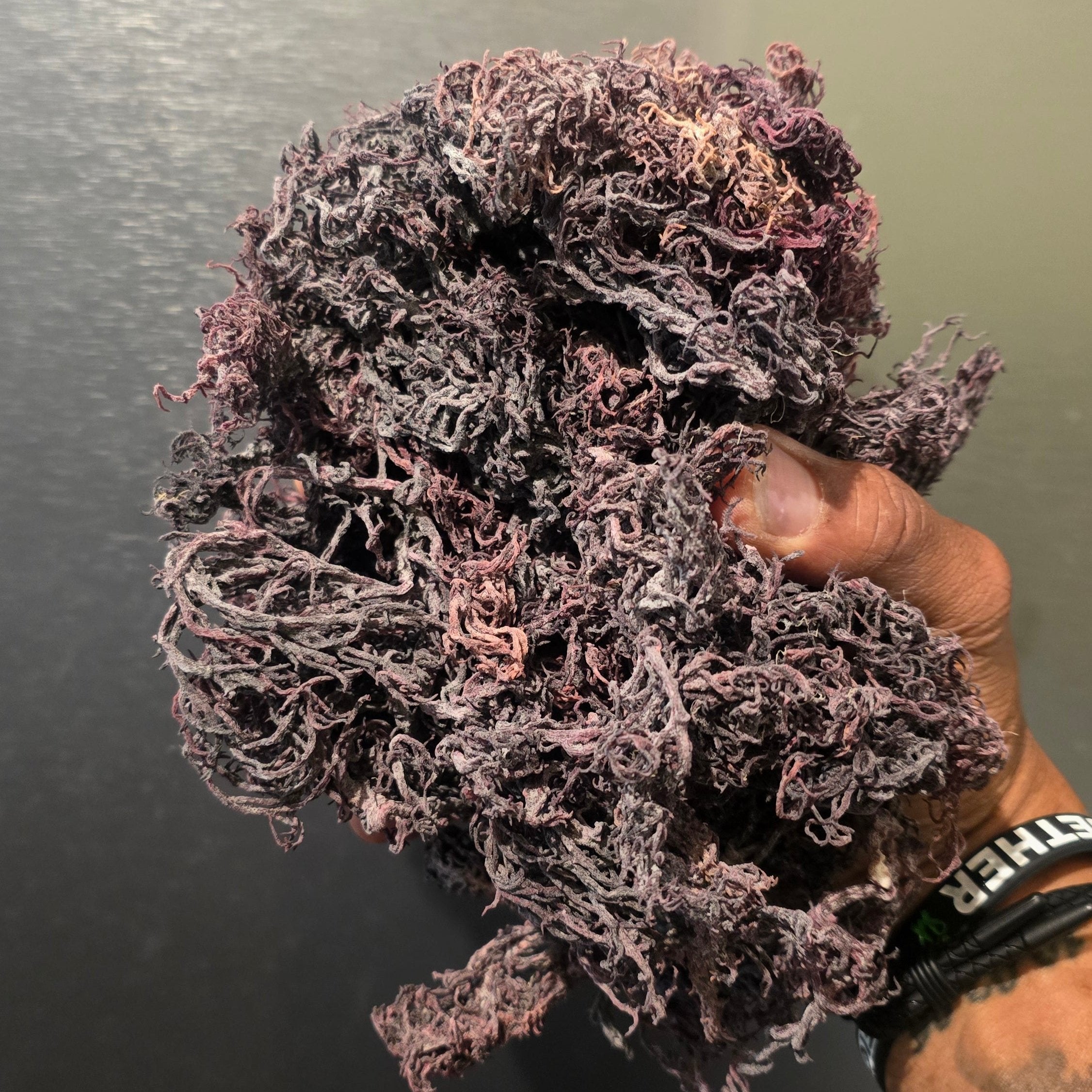 Super Star Shield Purple Raw Sea Moss