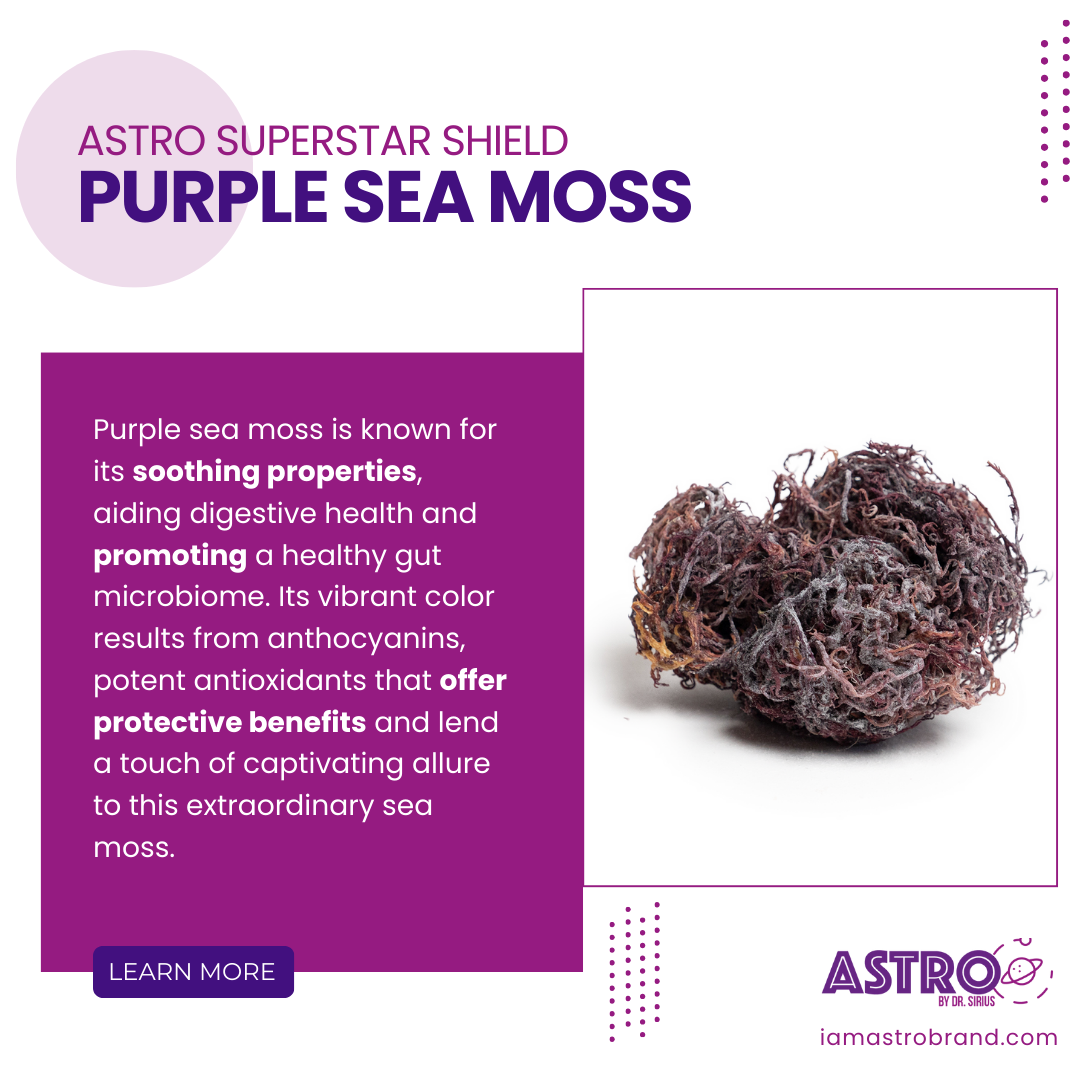 Super Star Shield Purple Raw Sea Moss